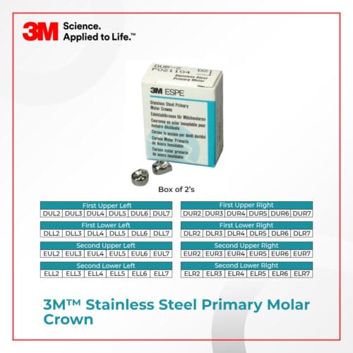 3M™ Stainless Steel Second Primary Molar Crown Refill